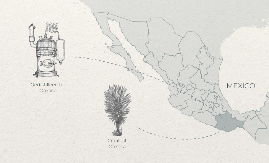 NL Cirial from Oaxaca Distilled in Oaxaca